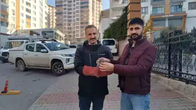 Yaralı Güvercin Tedavi Edildi