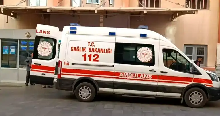12 Yaşındaki Çocuğun Tüfeği, Annesini Öldürdü